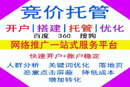 SEM托管公司案例分析：实战技巧全解析